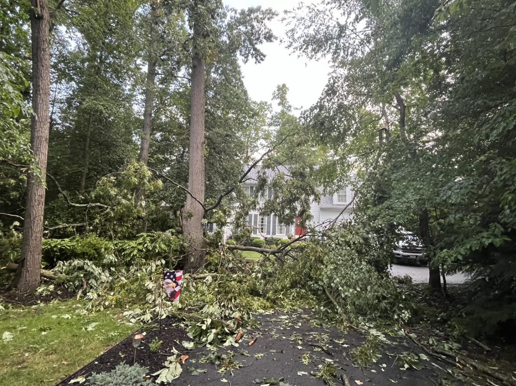 tree debris in a driveway. spring storm damage tree service in maryland