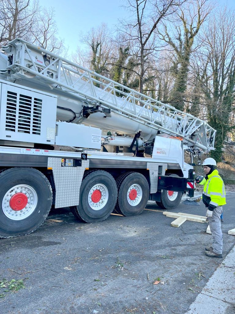tree work with crane