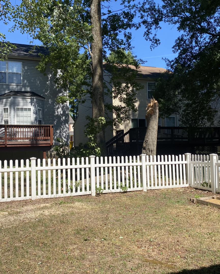 snapped tree cleanup and removal