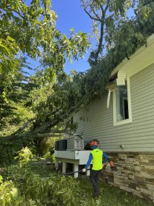 storm damage tree fell on house