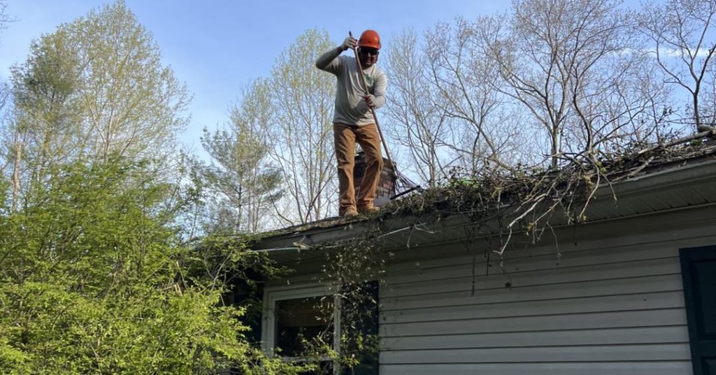 tree cleanup on roof