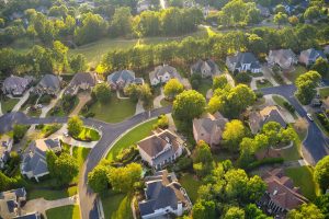 maryland tree service